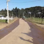 Polim Agri Dust®